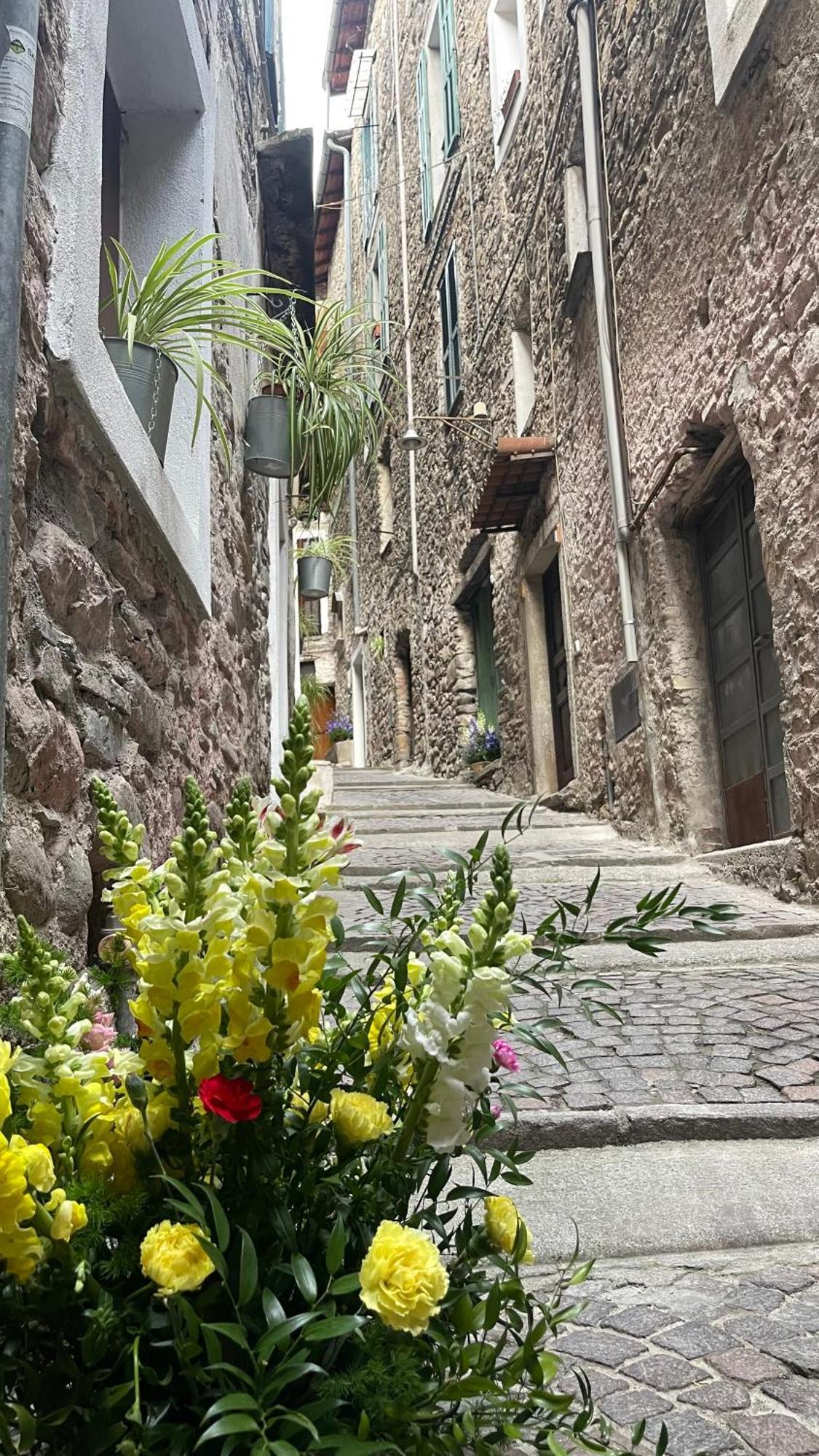 Le Bijou Di Dolceacqua, Per Un Momento Memorabile. Apartment Exterior photo